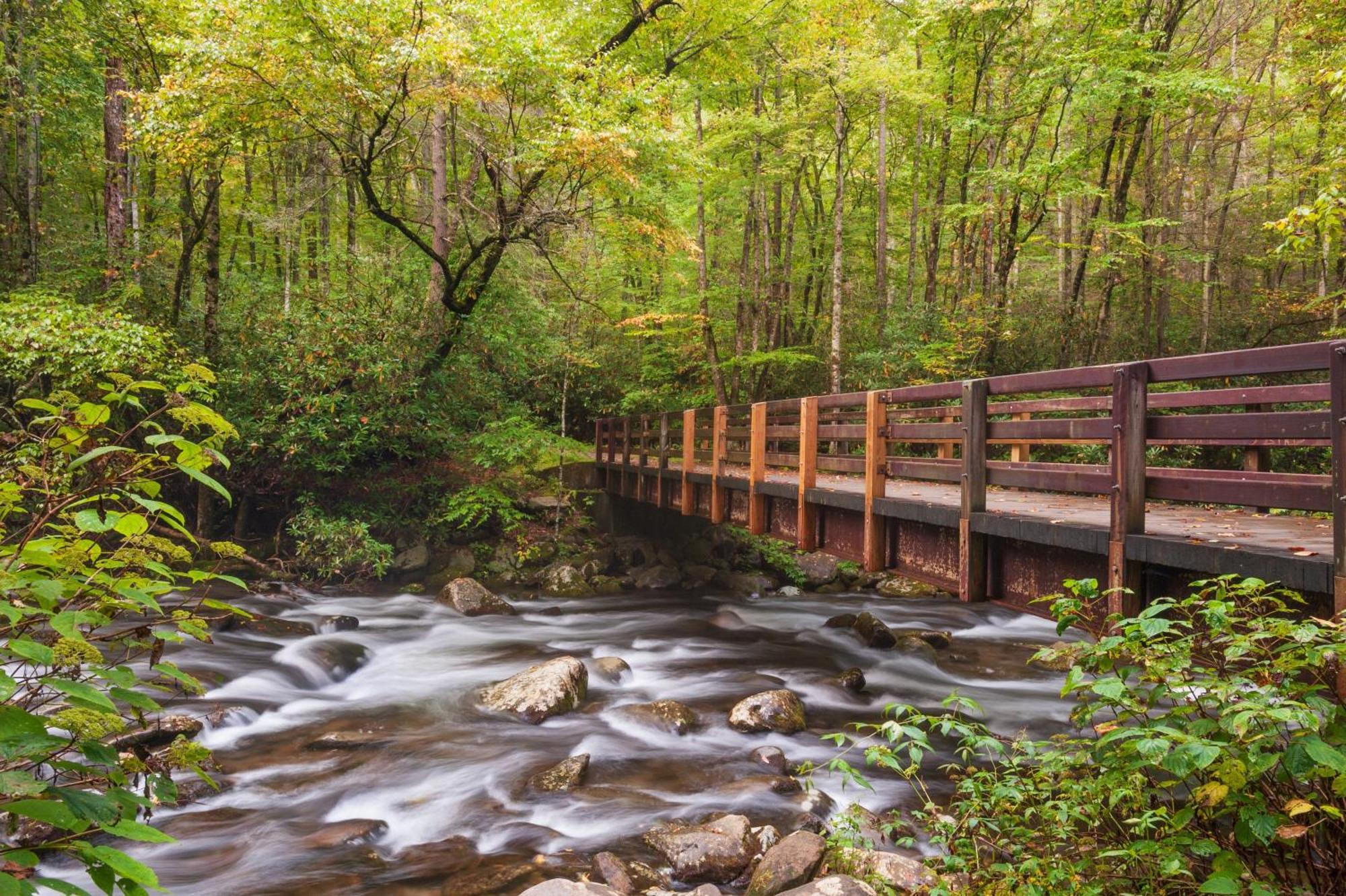 Majestic View Lodge, Amazing Views, Hot Tub, 1089 Free Tickets Each Paid Day, Dollywood And More Gatlinburg Bagian luar foto